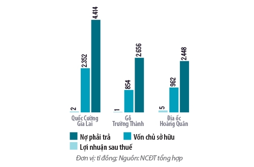 3 chỉ tiêu tài chính* của các doanh nghiệp vốn hóa nợ trong năm 2014