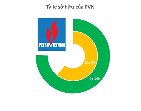 Tỷ lệ sở hữu của PVN tại Đạm Phú Mỹ (màu vàng) và Đạm Cà Mau (màu xanh)