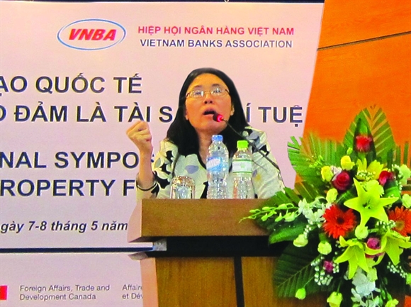 Bà Nguyễn Xuân Thảo, Giáo sư Luật, Trường Luật McKinney