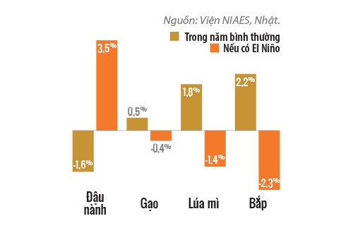 El Nino 2015: SOS cho nong nghiep!
