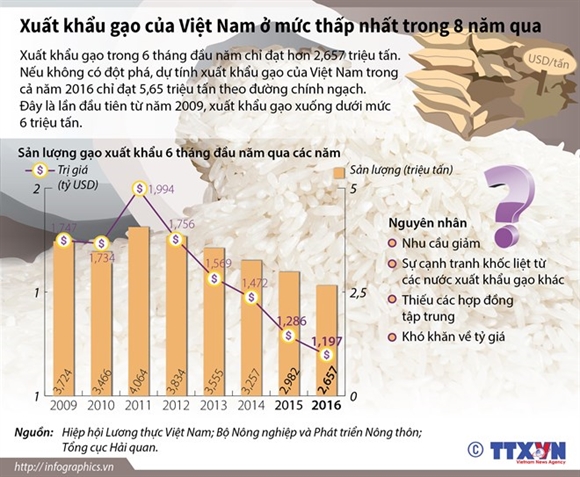 Xuat khau gao cua Viet Nam thap nhat 8 nam qua