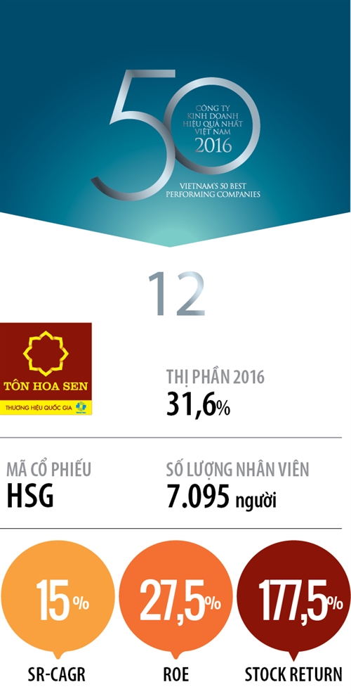 Top 50 2017: Cong ty Co phan Tap doan Hoa Sen