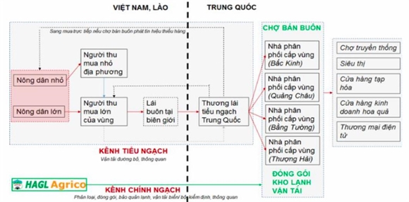 Hoang Anh Gia Lai: Lay ngan nuoi dai