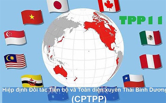 Nhung loi the ban dau tu CPTPP voi doanh nghiep Viet