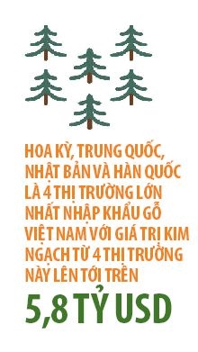 Viet Nam la trung tam che bien go cua Chau A