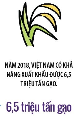 Hiep hoi Xuat khau gao Viet Nam: Tai sao khong?