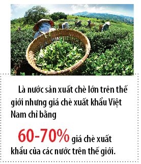 Vi sao che Viet Nam chi bang 60-70% gia che the gioi?