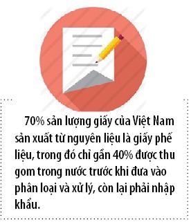 Viet Nam van phai nhap khau gan 2 trieu tan giay/ nam