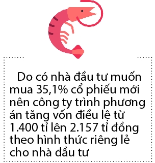 Vi sao Minh Phu muon phat hanh co phieu rieng le?