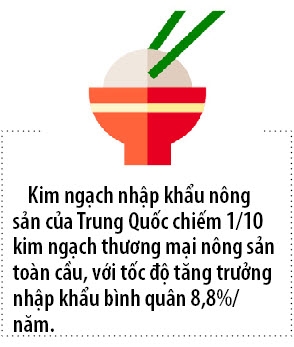 Trung Quoc sap danh thue nhap khau gao Viet len 50%