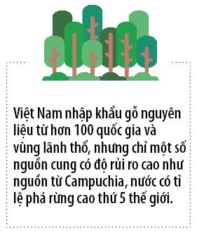 Go lau tu Campuchia gay rui ro cho nganh go Viet Nam
