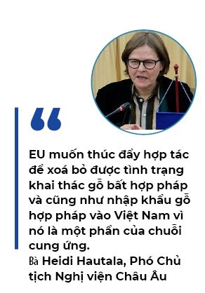 EU se siet chat nguon goc go tu Viet Nam