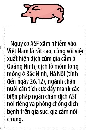 Trung Quoc doi chinh sach: Xuat khau rau qua, gao, thit heo se kho