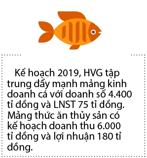 Doanh thu Hung Vuong “bat day” trong quy dau nam 2019