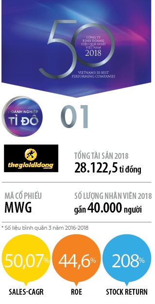 Top 50 2019: Cong ty Co phan Dau tu The Gioi Di Dong