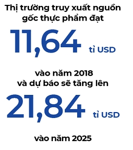 Truy xuat nguon goc bang Blockchain: Startup chau A dang but pha?