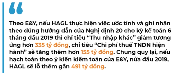 Hoang Anh Gia Lai noi gi khi co nguy co lo them hon 490 ty dong?