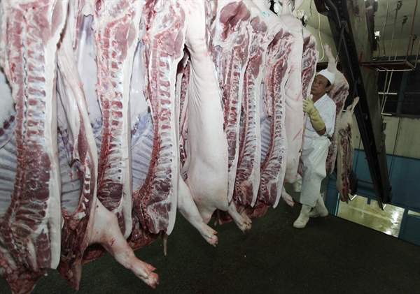 Theo dự báo của Bộ Công Thương, từ nay đến cuối năm, giá thịt lợn sẽ tiếp tục tăng do Trung Quốc dừng nhập khẩu từ Mỹ và chuyển sang nhập từ các nước khác, trong đó có Việt Nam. Nguồn ảnh: QH