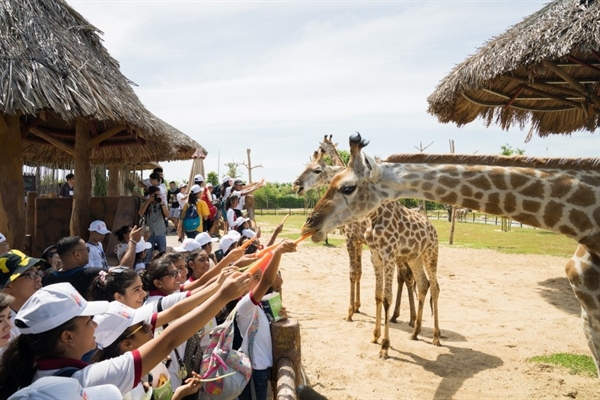 Nguoi dan mien Trung, Tay Nam Bo tan huong uu dai chua tung co tu Vinpearl Land & Safari