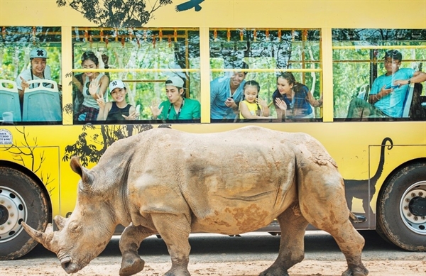 Nguoi dan mien Trung, Tay Nam Bo tan huong uu dai chua tung co tu Vinpearl Land & Safari