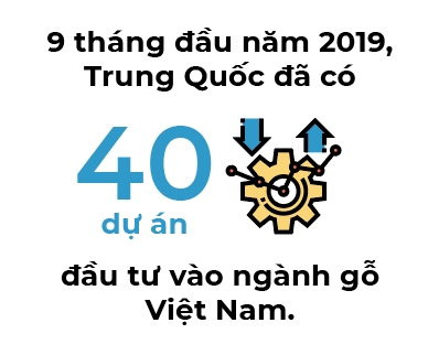 Go Viet “den” voi luong do