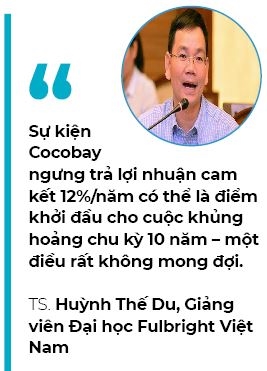 Cocobay ngung tra loi nhuan cam ket: Chuyen gia noi gi?