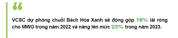 Bach Hoa Xanh se dong gop 16% lai rong cho The Gioi Di Dong vao nam 2022?