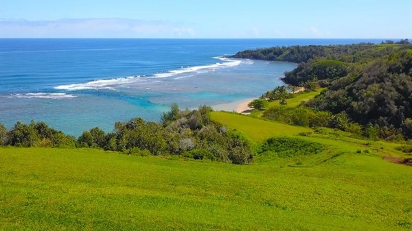 Năm 2017, vị tỷ phú công nghệ này mua thêm 36 ha đất ở quần đảo Hawaii với giá hơn 45 triệu USD. Ảnh: Trulia. 