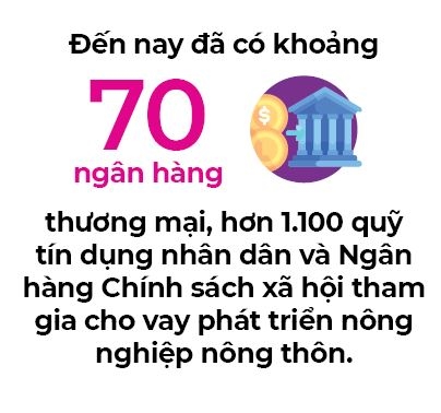 Nguoi Ha Lan khoi nghiep fintech nong nghiep dau tien tai Viet Nam
