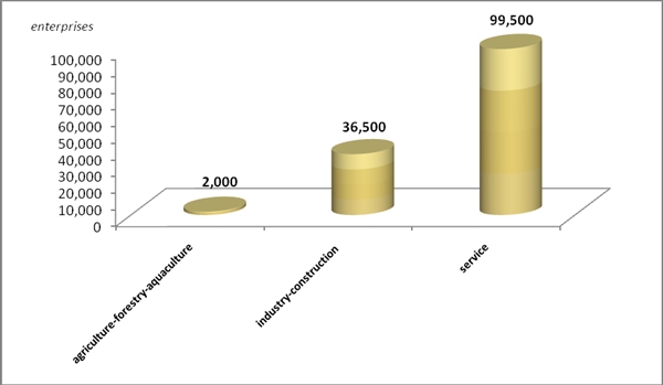 The number of new firms established in agriculture-forestry-aquaculture, industry-construction and service sectors in 2019 witness respective increases of 9.9%, 5.3% and 5.1%. Photo: VGP