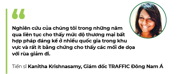 Viet Nam: Nguy co tuyet chung rua bien cao nhat the gioi