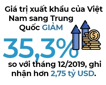 Hang Viet Nam xuat vao Trung Quoc giam hon 35% ve gia tri trong thang 01/2020