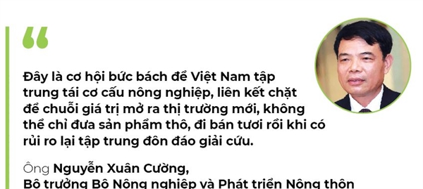 Xuat khau nong san: Buc bach “thoat Trung”