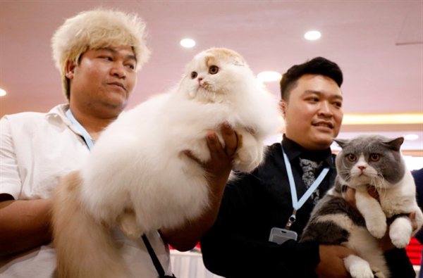 Nguyen Xuan Son of Vietnam and Tawin Prai of Thailand show their cats during the Vietnam's first cat show in Hanoi, Vietnam. -Reuters