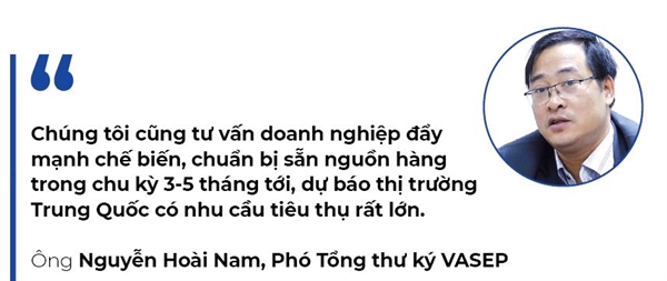 Thuc pham che bien: Thuan loi o Trung Quoc, bat loi o san nha