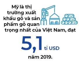 Go dan Viet Nam bi va lay vi Trung Quoc