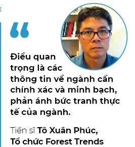 Go dan Viet Nam bi va lay vi Trung Quoc