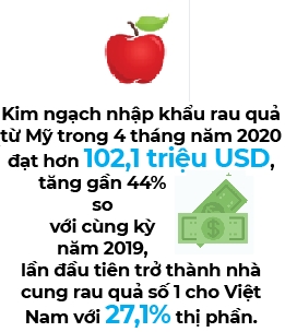 My dung dau thi truong nhap khau trai cay cua Viet Nam