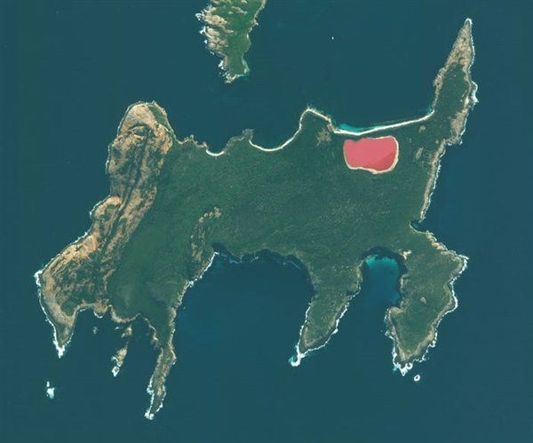 Hồ Hillier, đảo Middle, Tây Úc, đó là mực thực của hồ Hillier, một sự tương phản mạnh mẽ với cảnh quan rừng rậm xanh tươi xung quanh. Màu hồng bong bóng của hồ nước mặn có thể đến từ các vi sinh vật sống bên trong nó.