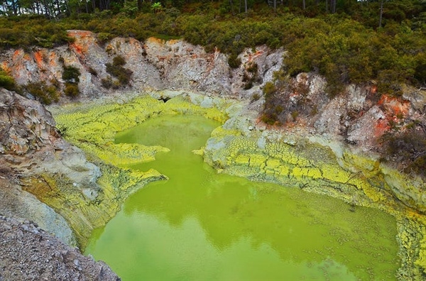 Devil's Bath Pool, New Zealand là hồ bơi của quỷ gây ấn tượng với màu xanh lá do lưu huỳnh lắng đọng tạo thành. 