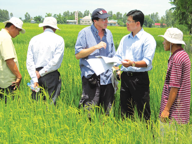 Doanh nghiệp xuất khẩu gạo đầu tư vùng nguyên liệu