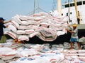 Sau đàm phán TPP, xuất khẩu gạo sẽ tăng đáng kể