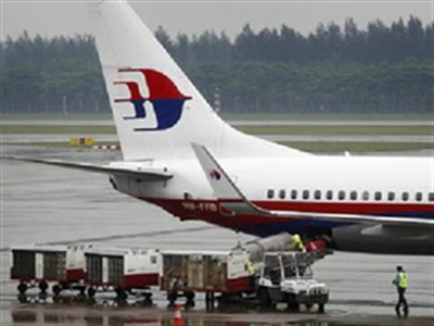 Máy bay Malaysia Airlines bị đàn vịt đâm vỡ kính