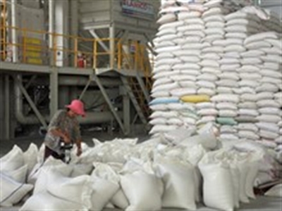 An Giang sẽ thu mua tạm trữ hơn 220.000 tấn lúa quy gạo