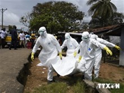 WHO: Số ca nhiễm virus Ebola đã vượt quá 10.000 người
