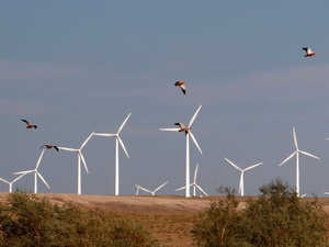 Trung Quốc dẫn đầu thế giới về năng lượng sức gió
