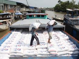 Xuất khẩu gạo của An Giang quý I/2012 giảm 54%