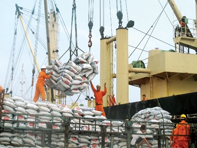 Giá lúa gạo tăng nhờ đẩy mạnh xuất khẩu sang Trung Quốc