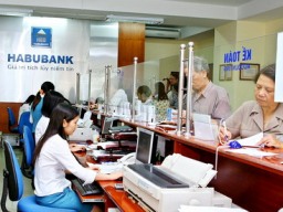 Habubank đặt kế hoạch chia cổ tức 2012 tỷ lệ 5%
