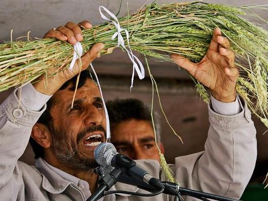Iran tăng cường tích trữ lúa mì